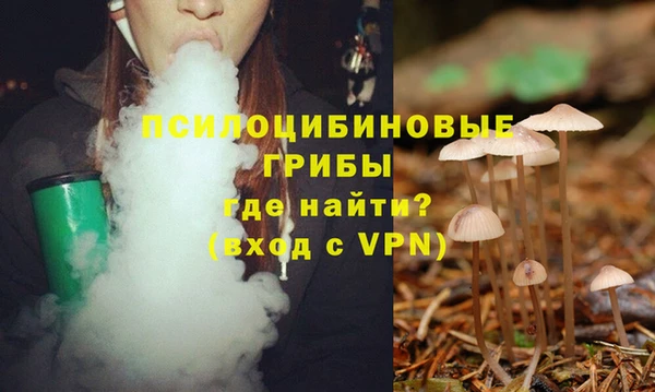 jwh Магас